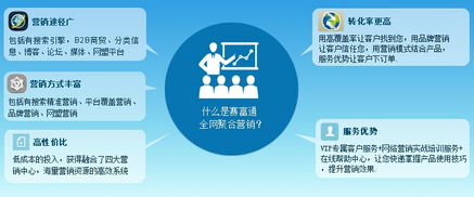 文山三七廠家 借力互聯(lián)網(wǎng)銷售，提升品牌影響力與銷量的多維策略